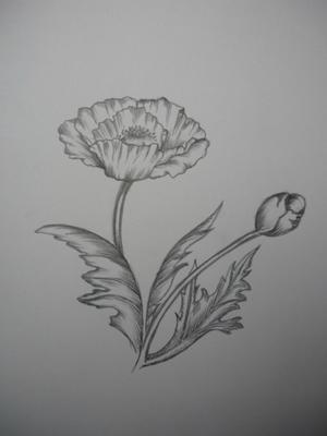 My Flower Drawing