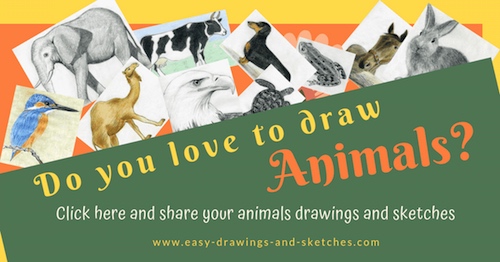 easy animal drawings in pencil for kids