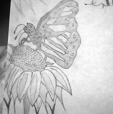 How To Draw A Butterfly Sitting On A Flower / How to draw an orange