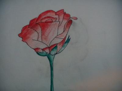 how to draw a rose for beginners 🌹 rose drawing for kids, beautiful rose  drawing, red rose drawing - YouTube