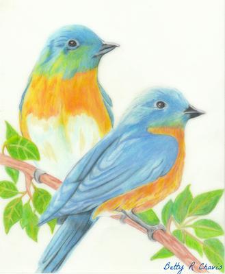 colored pencil drawing of blue birds 21834873