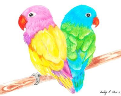 Colourful Bird Vector Art, Icons, and Graphics for Free Download