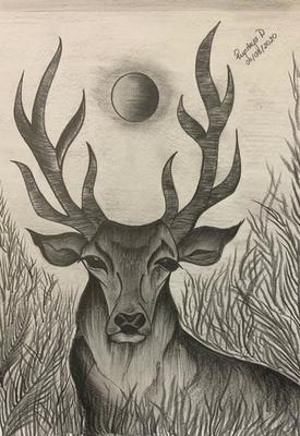 How to draw a deer | Pencil shading | Charcoal - PaintingTube