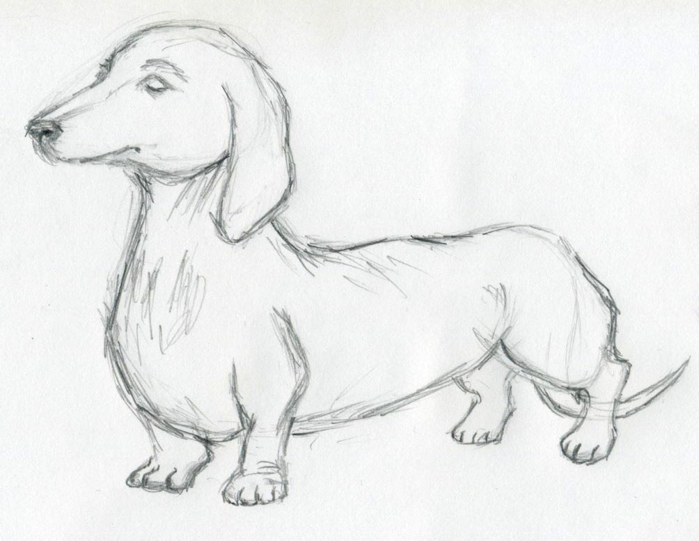 Cute Dog Sketch Easy ~ 3 Ways To Draw A Cute Puppy | Boditewasuch