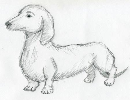 Download Dog, Drawing, Sketch. Royalty-Free Stock Illustration Image -  Pixabay
