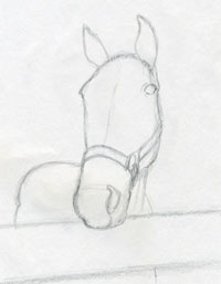 Details 154+ horse face drawing best - vietkidsiq.edu.vn