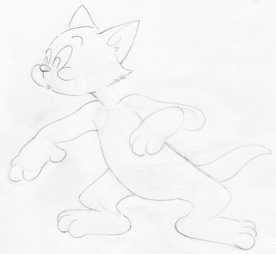 How to Draw Tom Cat, Cats and Kittens
