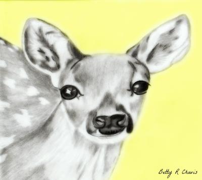 Buy Fawn Pencil Sketch Print little Ones Baby Deer Online in India  Etsy
