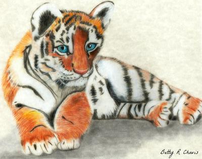 Buy Tiger Artwork Bengal Tiger Pencil Drawing Print Artwork Signed by  Artist Gary Tymon 2 Sizes Big Cat Illustration Animal Portrait Online in  India - Etsy