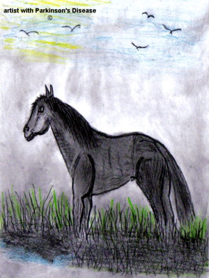 horse drawings