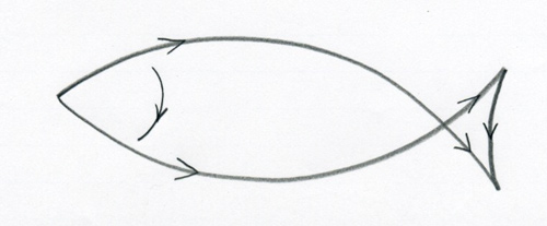 How to draw a fish easily