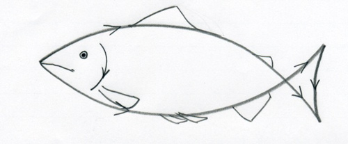 How to Draw a Fish Easy (6 Ways!) - The Graphics Fairy