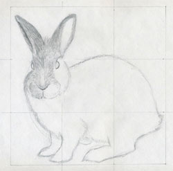 Bushy Bunny Drawing Drawing by Susannah Weiland  Saatchi Art