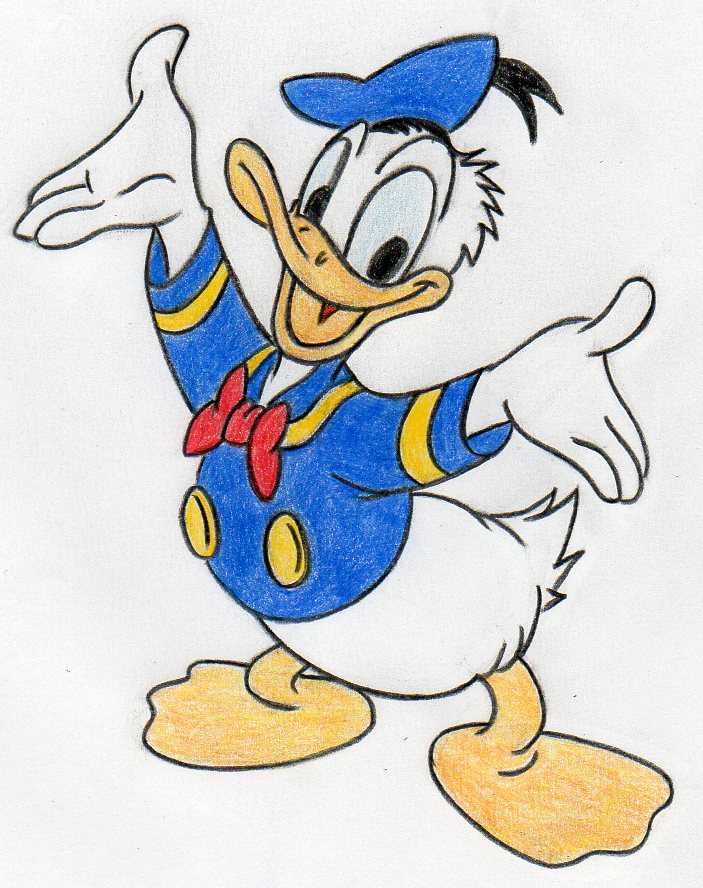 Donald Duck Disney Cartoon Drawing With Colours picleg