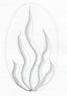 Drawing flames with pencil