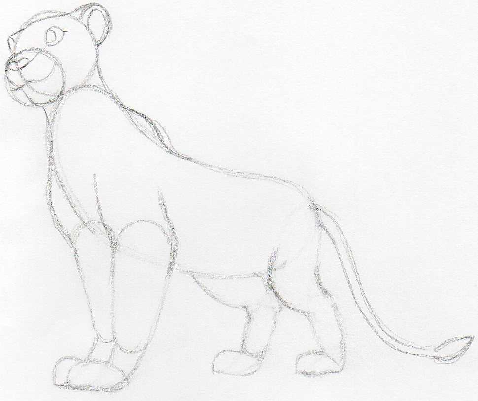 How To Draw Nala from Lion King.