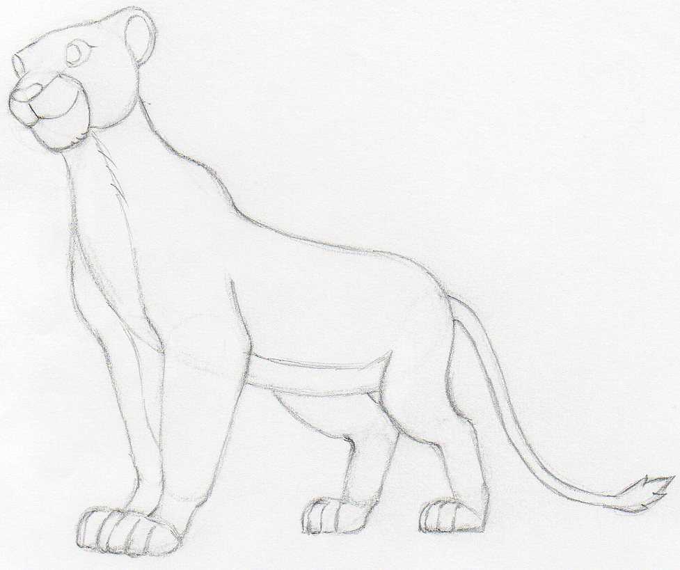 Scar The Lion King Drawing Fan art Scar mammal cat Like Mammal png   PNGEgg