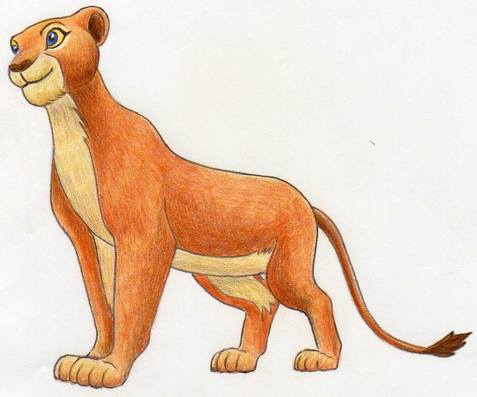How to draw little Simba | Lion King | Lion king drawings, King drawing,  The lion king characters