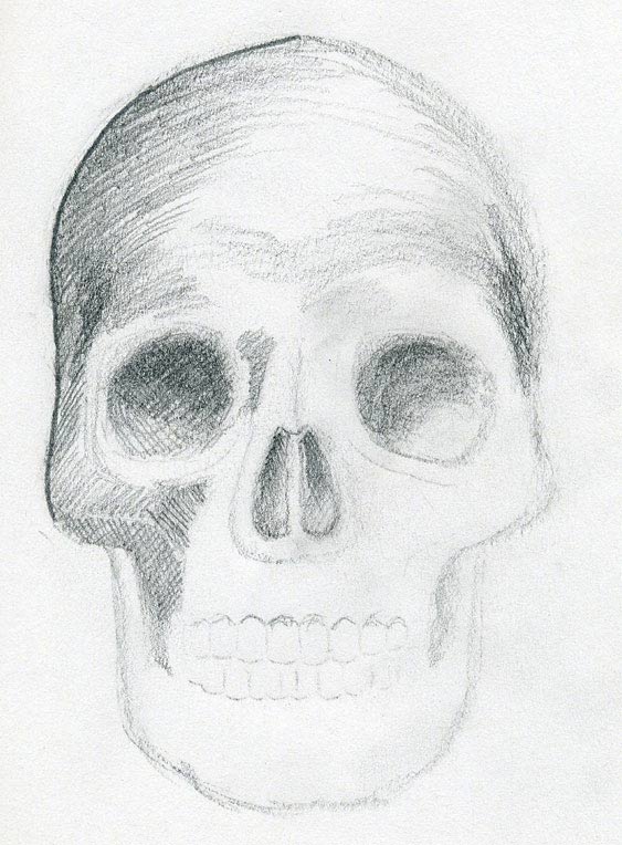 skull drawing for beginners