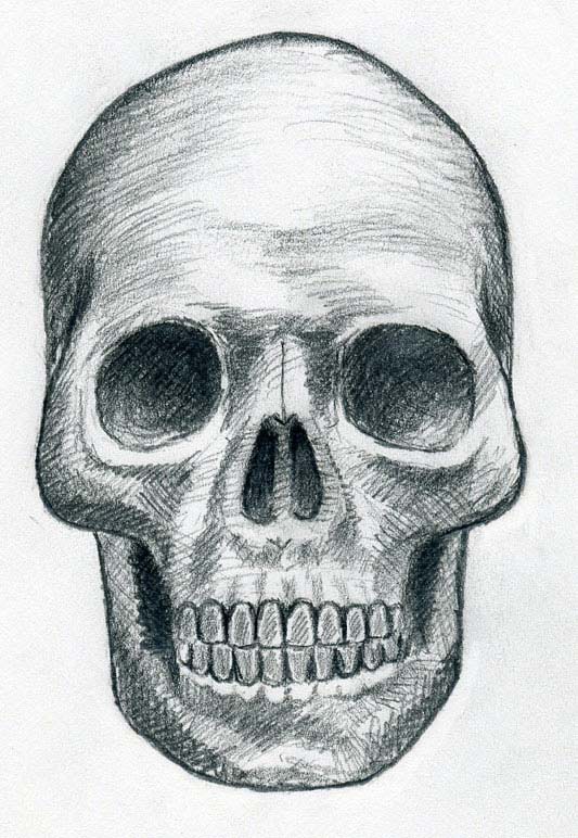 easy sketches of skulls and roses