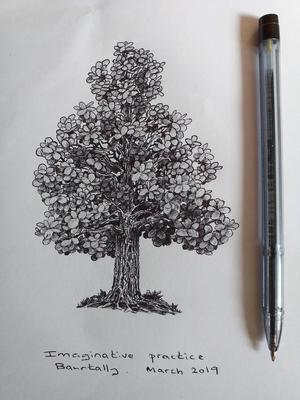 Shehbaaz Baurtally S Ball Pen Drawings Gallery