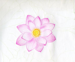 how to draw a realistic lotus flower