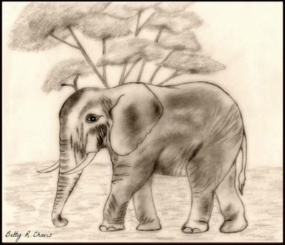 Small elephant draw | Realistic animal drawings, Elephant drawing, Drawings