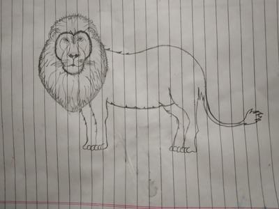 Image of Sketch Of King Of Forest Lion Outline Editable  IllustrationPS274444Picxy