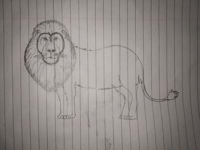 My first drawing of lion