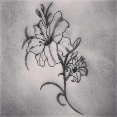 My flowers drawings
