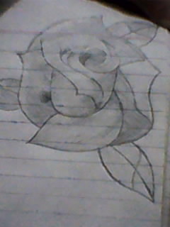 my first flower sketching