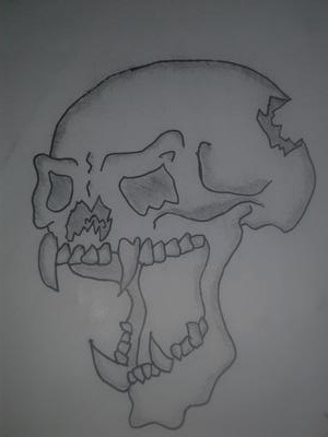 My first skull drawing