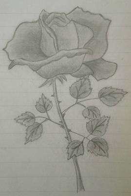Rose Drawing Easy For Valentines Day  Arty Crafty Bee