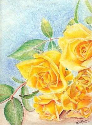 yellow roses drawing